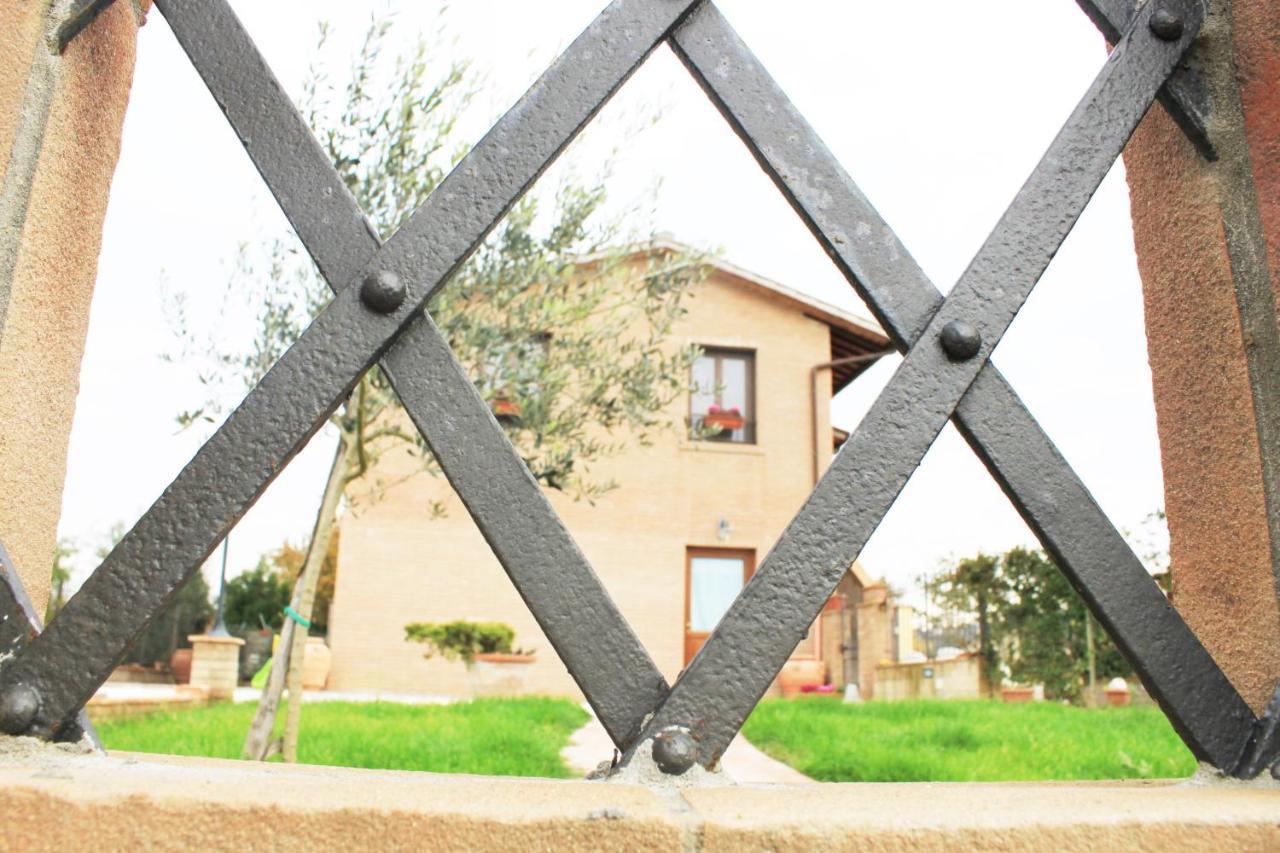 סן מיניאטו B&B La Toscanina מראה חיצוני תמונה